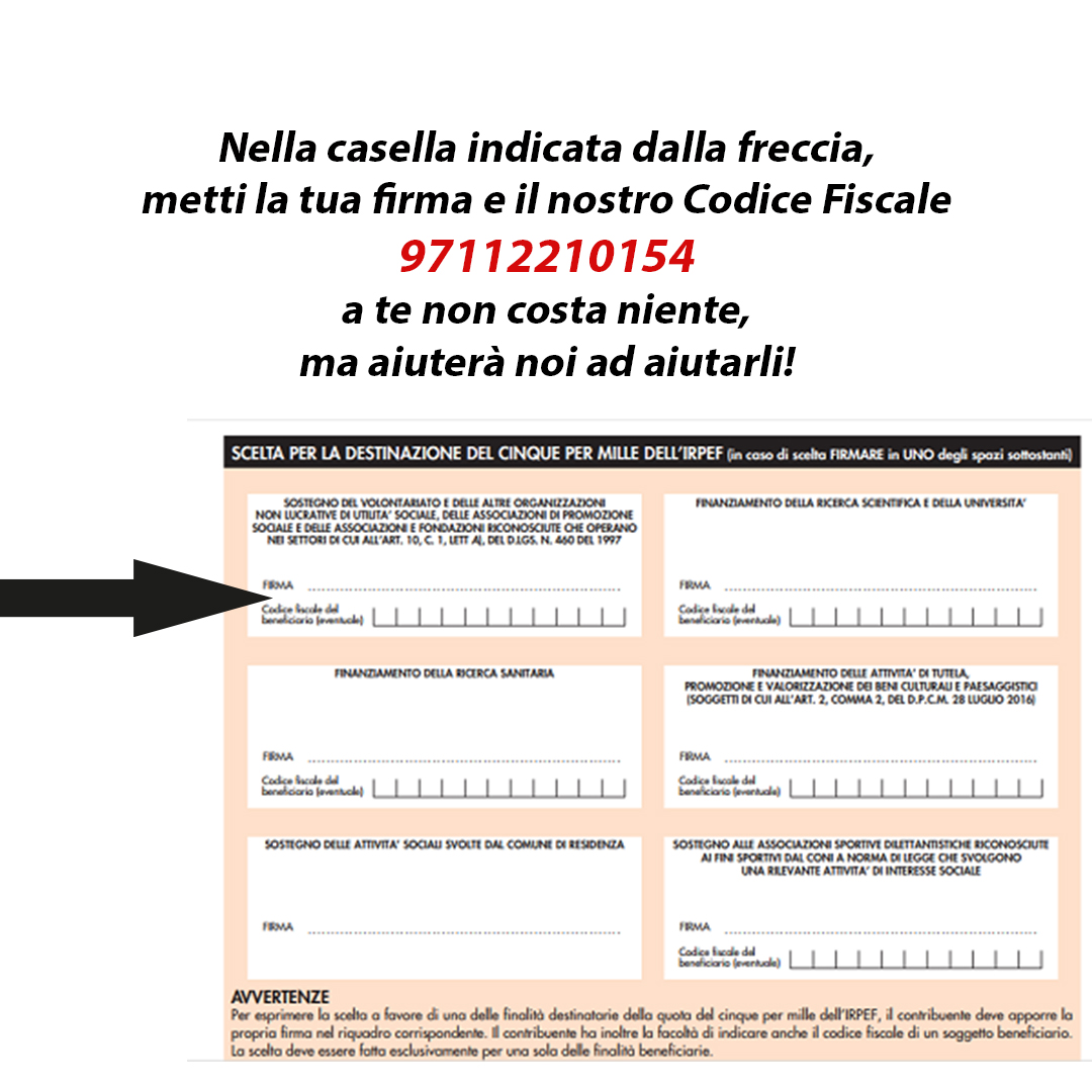 5xmille-layout-sito-2