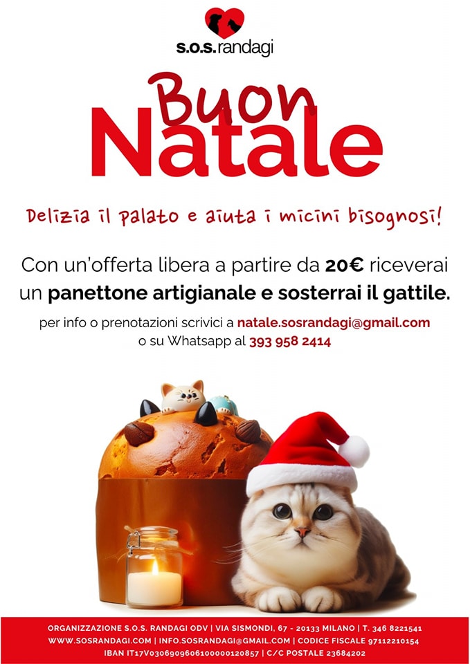 Panettoni Solidali