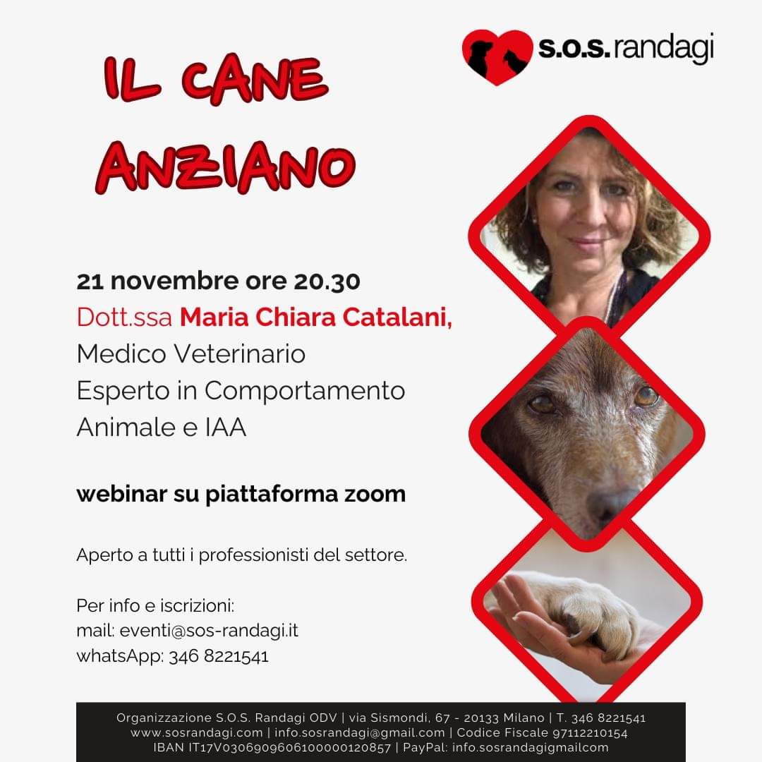 Webinar: Il cane anziano