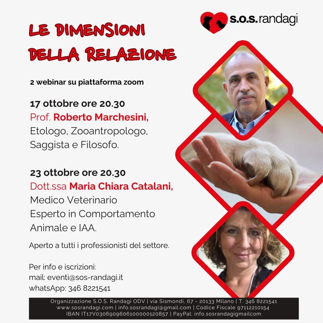 Webinar: Le dimensioni della relazione