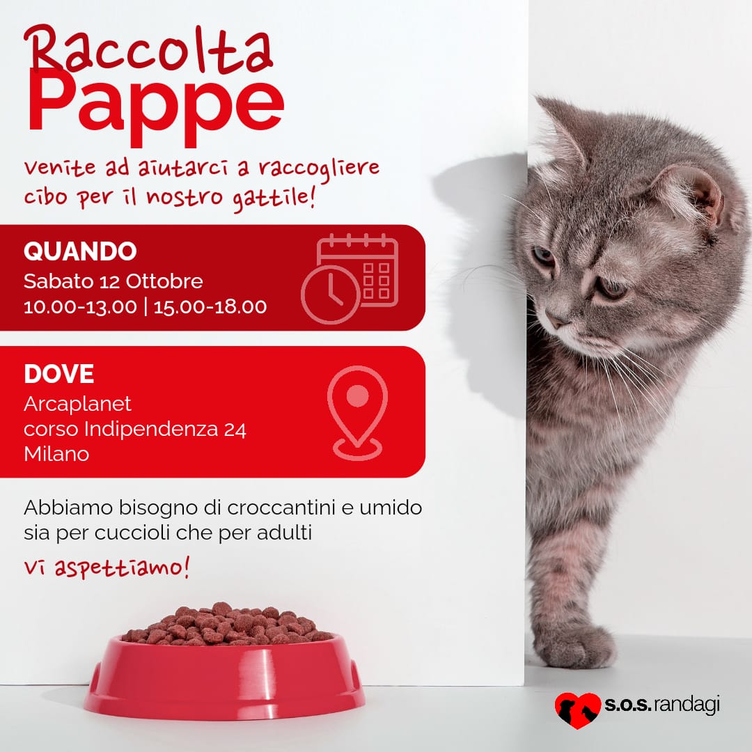 Raccolta pappe Arcaplanet