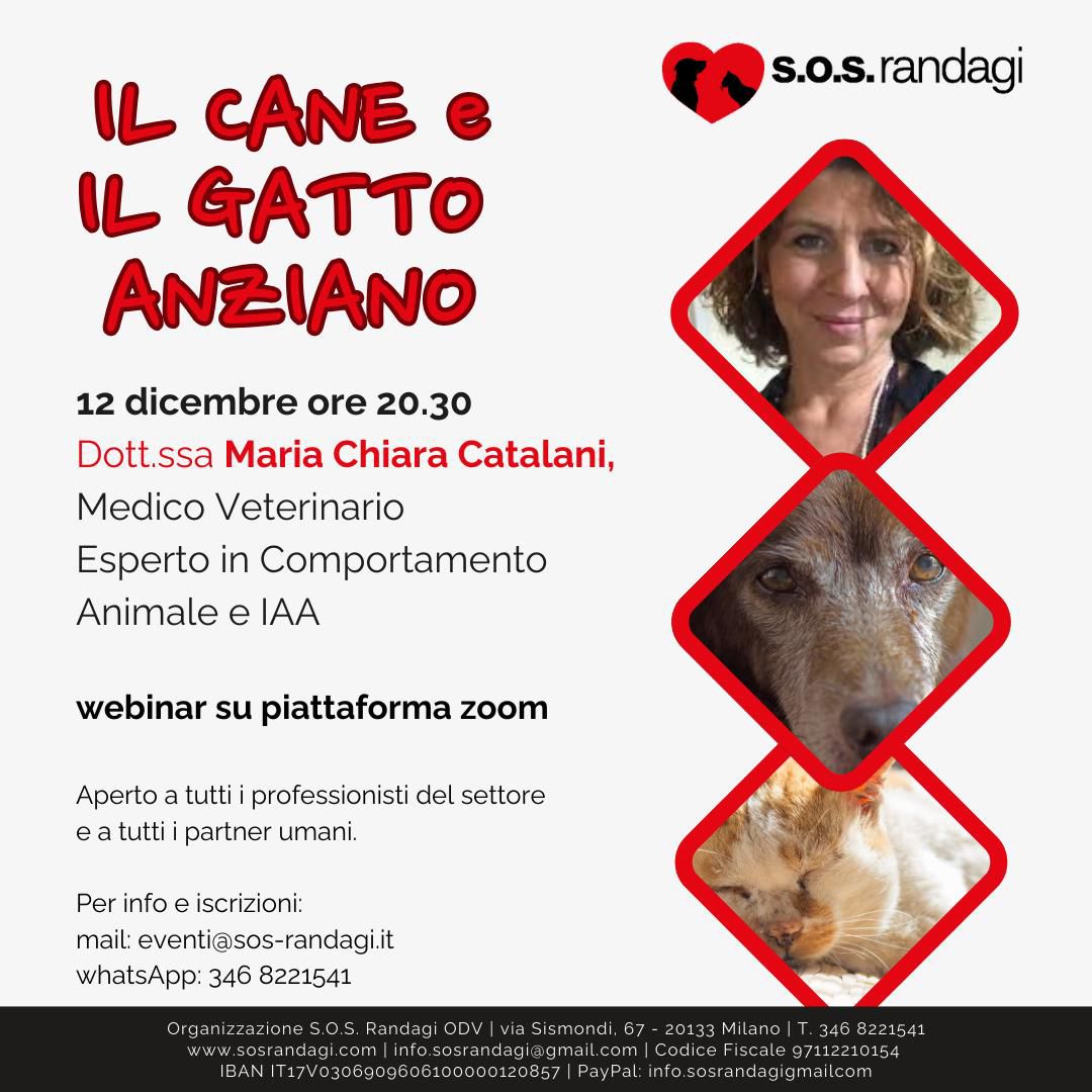 Webinar “il cane e il gatto anziano”