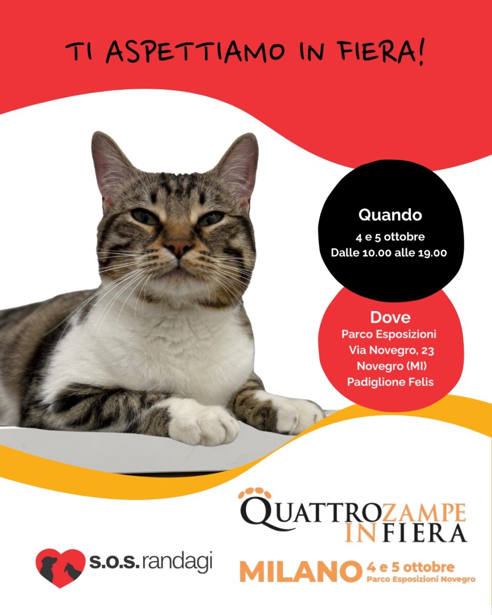 Quattrozampeinfiera