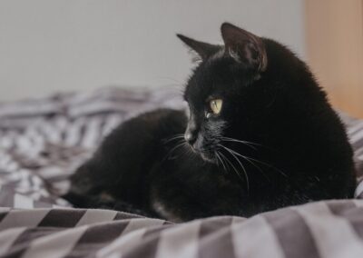 Ragazza con gatto nero in braccio