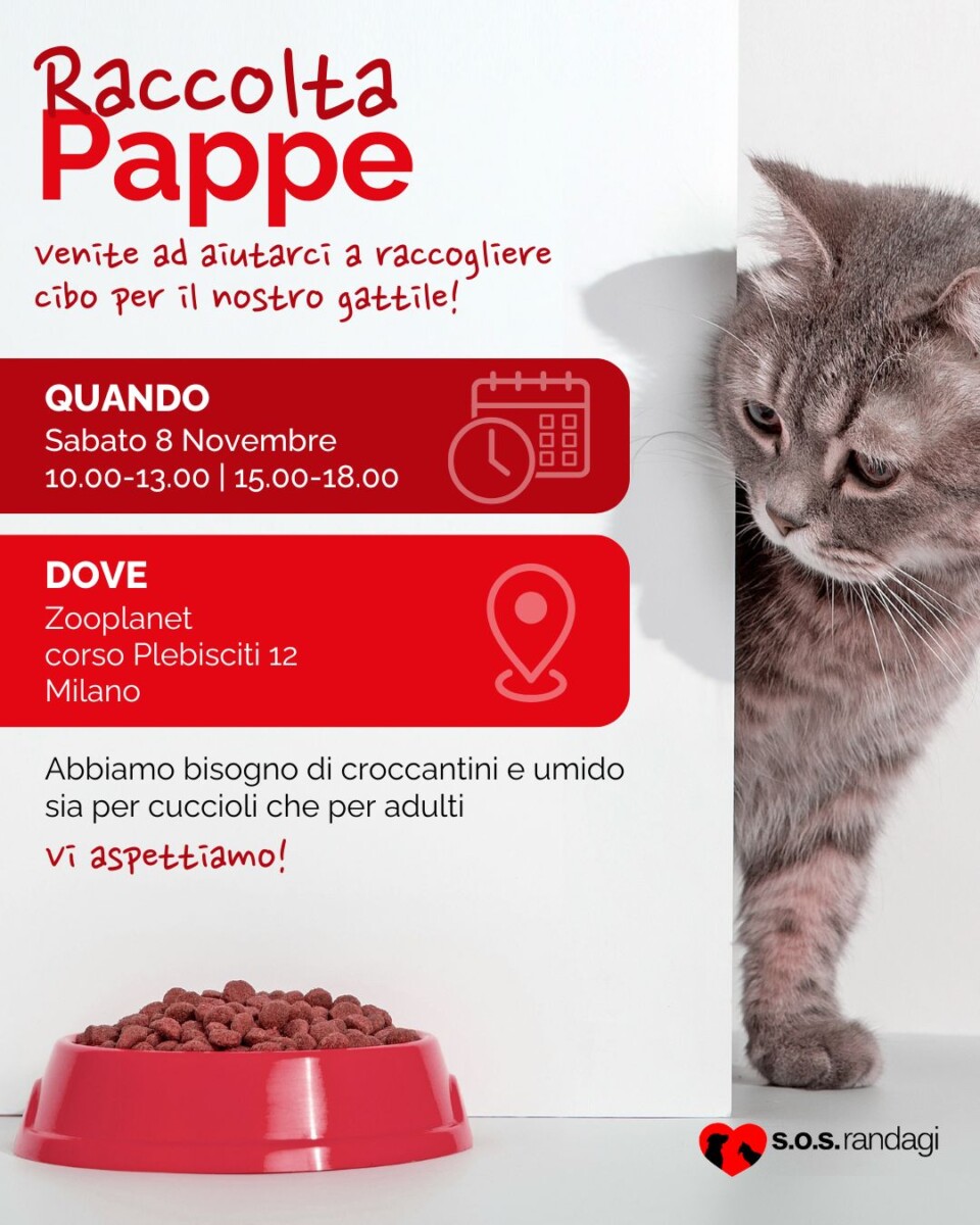 Raccolta pappe Zooplanet