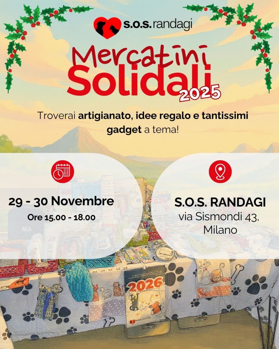 Mercatini Solidali S.O.S. Randagi