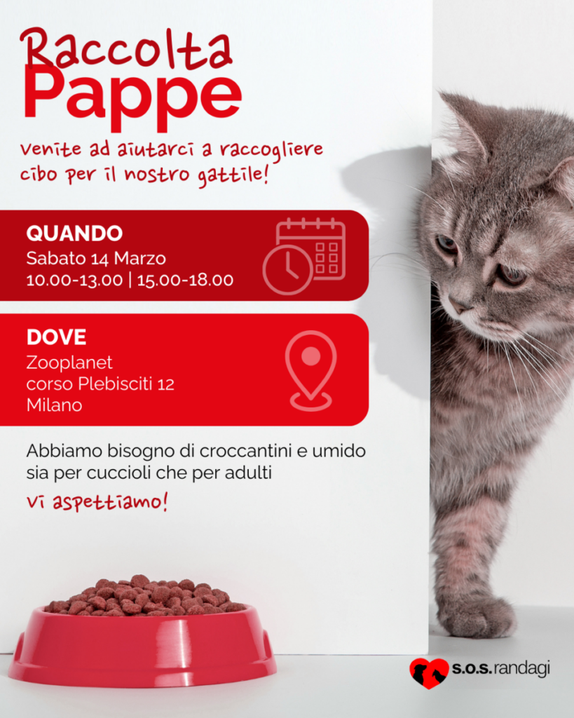 Raccolta Pappe Zooplanet