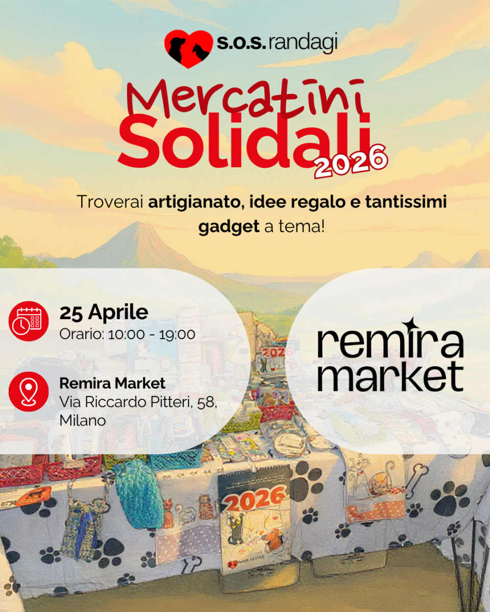 Mercatino Solidale Remira Market
