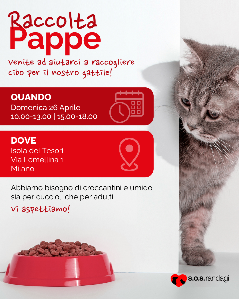 Raccolta Pappe Isola dei Tesori