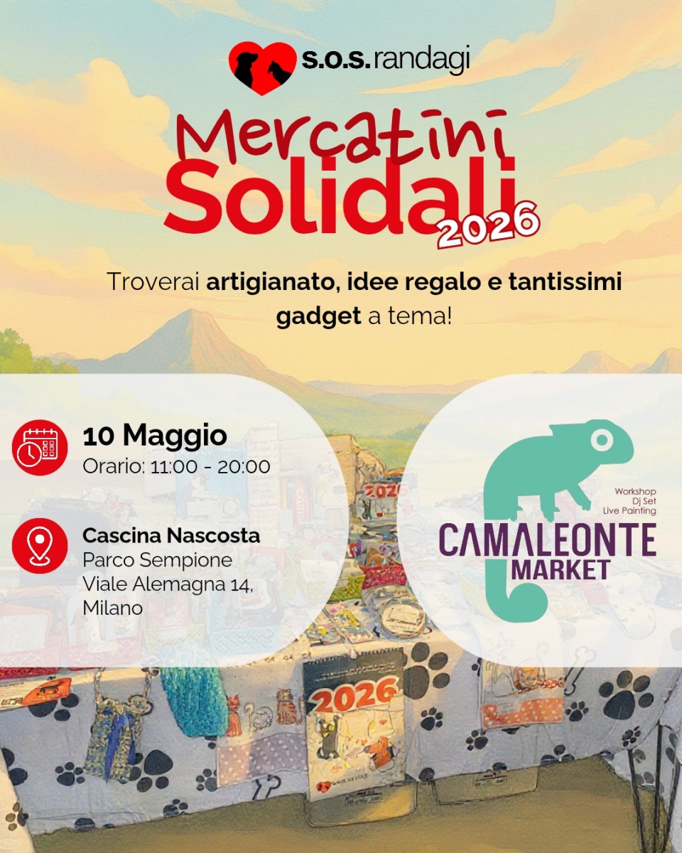 Mercatino solidale Camaleonte Market