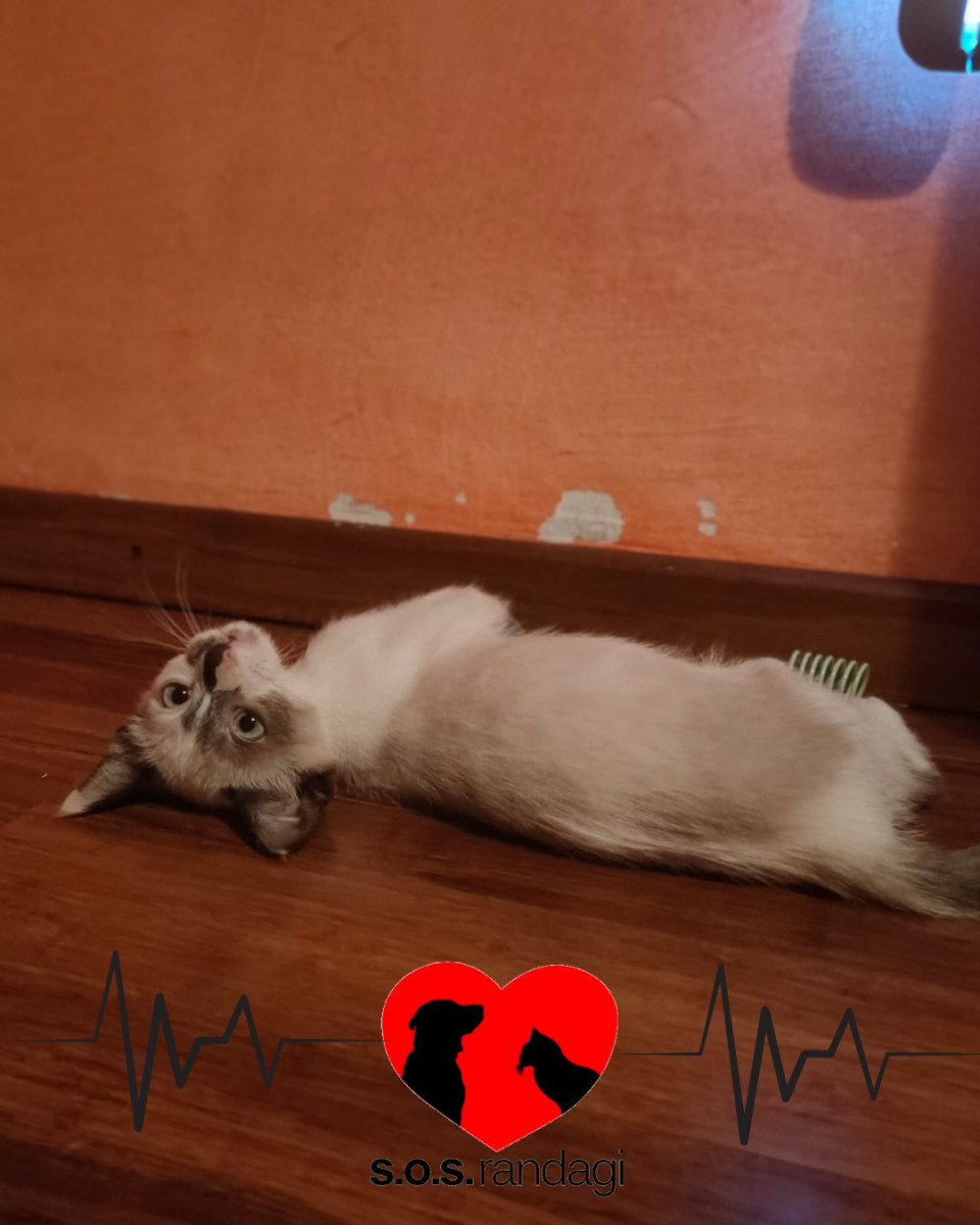 Zoe