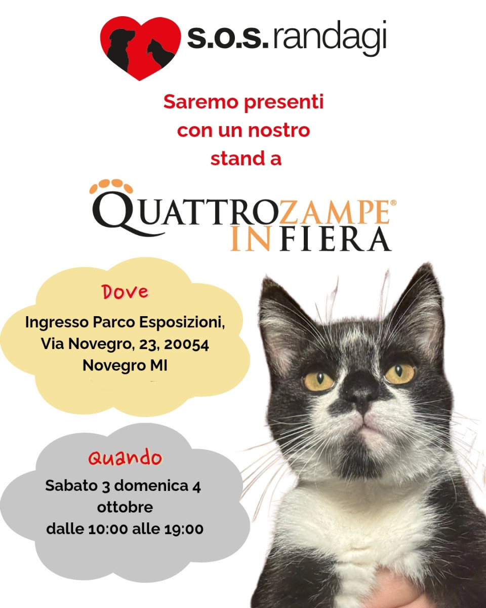 Quattrozampe in fiera
