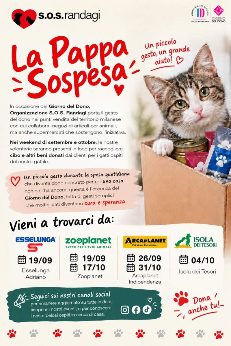 La pappa sospesa