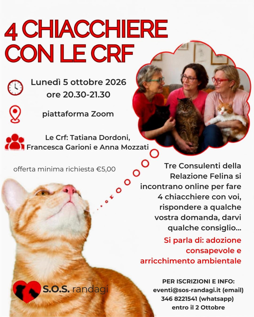 Webinar “4 Chiacchiere con le CFR”