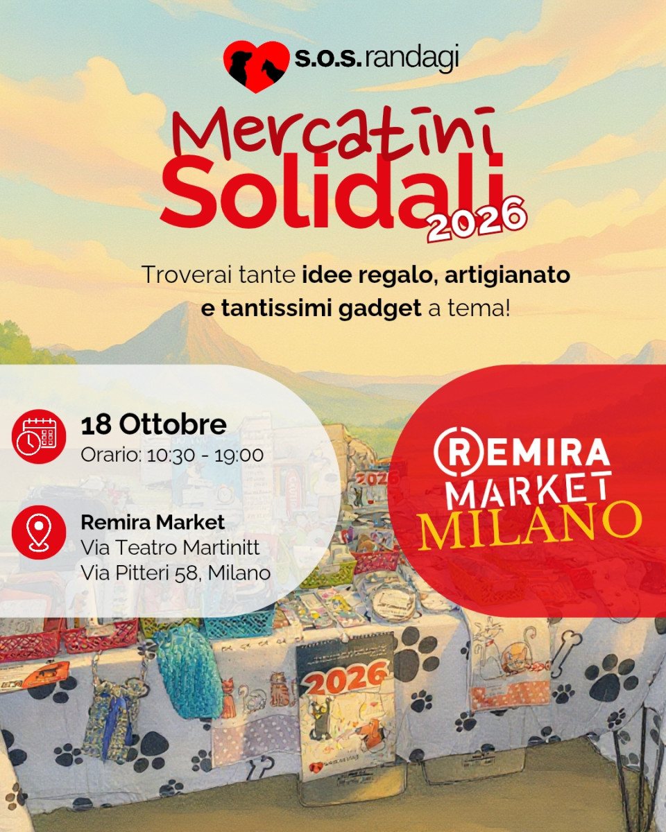 Mercatino Solidale Remira Market